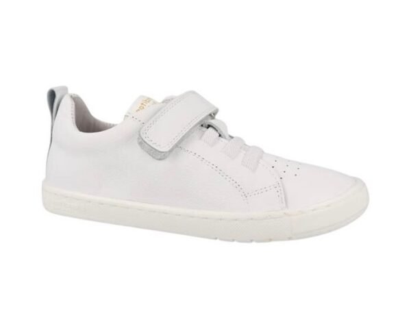 BORNEO-BLANC26V