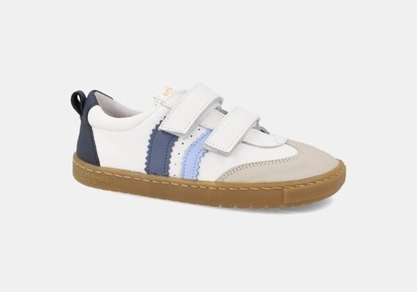 DELFIN BLUE26V